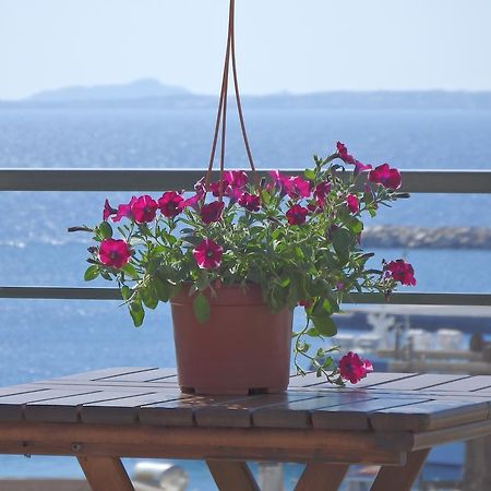 Naxos Illusion Nikos Verikokos Naxos City 외부 사진